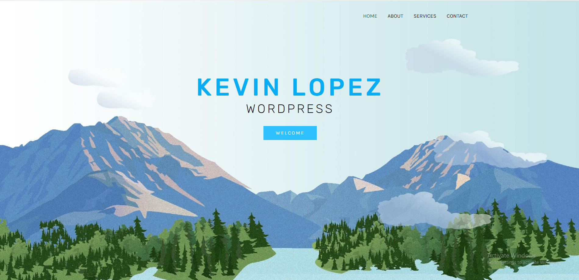 wordpresswebsite